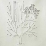 Träd med skåp, handbroderi på galon, 52 x 52 cm ©Mona Petersson