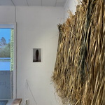 Harakeke Jeanette Schäring