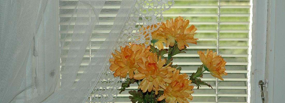 Gul blomma, 2011 © Catarina W. Källström
